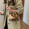 Bolso Cruzado Casual de Moda y Sencillo para Ir al Trabajo, Nuevo Modelo 2026, Bolso Cubo de Diseño de Moda Nicho de Invierno para Mujer