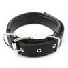 Collar de perro collar de perro collar cuero suave forrado polipropileno perro espuma de perro suministros para mascotas fabricantes al por mayor