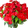 Novo Estilo de Primavera Impatiens Artificiais Decoração de Interior Gramado Externo Jardim Varanda Terraço Enfeite Pendurado