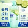 [Lanzamiento de Nuevo Producto] Shampoo Rejoice Control de Grasa Juvenil, Shampoo Suavizante y Fortalecedor Anticaspa con Aroma a Hierba Limón