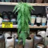 Plantas Verdes Penduradas na Parede Planta-Aranha Flores Artificiais Plantas Verdes Pendentes Samambaias Tubos de Parede Decoração de Teto Folhas de Samambaia Cipós