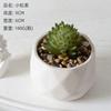 Simulação de plantas suculentas atacado decorações de plantas verdes cacto escritório interno pequenos ornamentos combinação bonsai