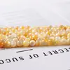 Cuentas Doradas de Concha Natural, Cuentas Sueltas de Concha Amarilla en Forma de Disco, Manualidades con Cuentas para Pulsera, Collar, Accesorios de Joyería al por Mayor