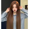 Peluca Vintage Borgoña para Bebé Niña, Cabello Largo y Liso, Estilo Diario Estudiante, Peluca de Cabeza Completa con Corona Alta