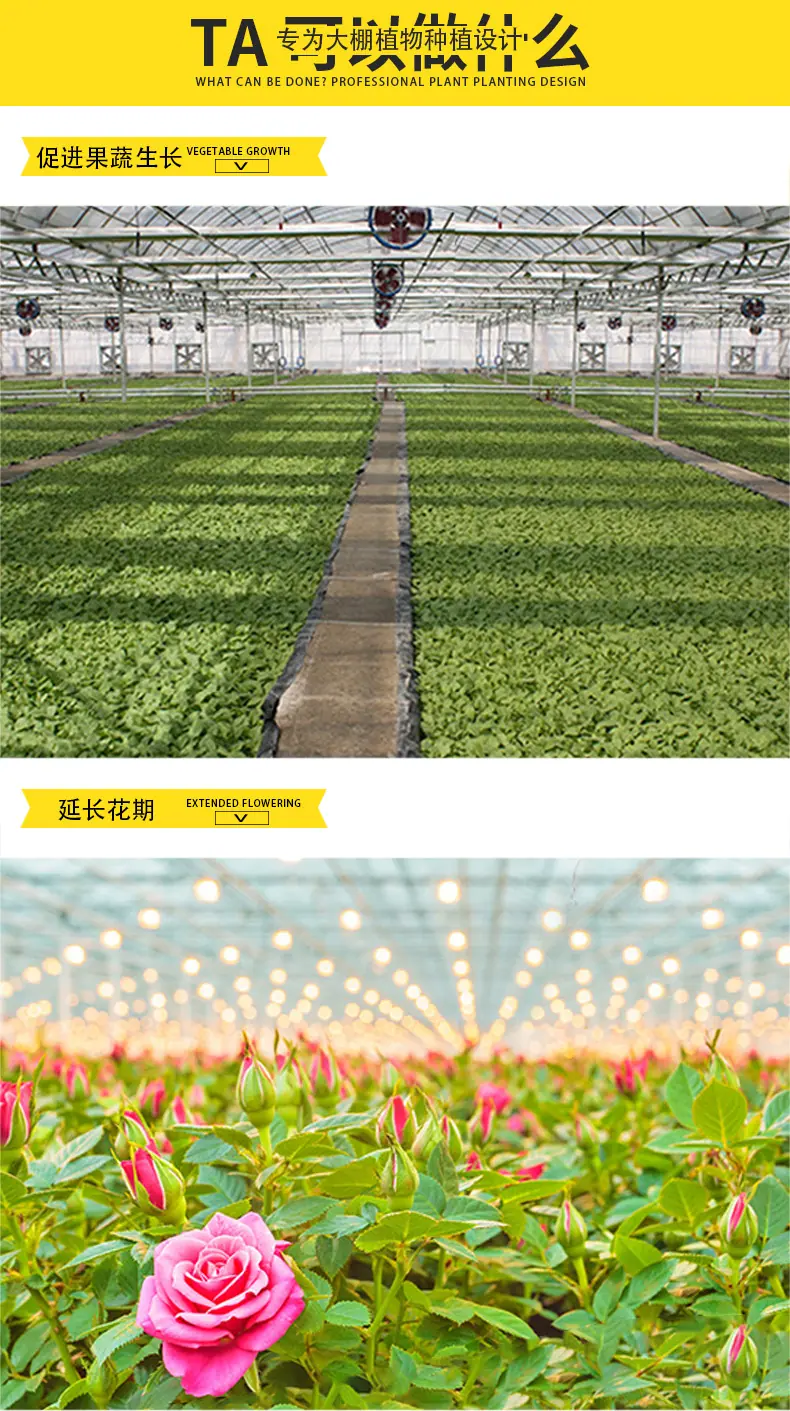 详情页_08.jpg