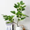 Suzuki flor artificial planta verde falsa paisagismo interno sala de estar decoração de chão relógio de parede japonês madeira bêbada decoração de galho único