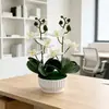 Nuevo Modelo de 2 Tallos con 6 Flores y 6 Hojas, Bonsái de Orquídea Phalaenopsis Artificial con Textura Realista, Flores Artificiales para Decoración de Mesa de Sala de Estar, Planta Verde en Maceta