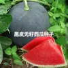 Las Semillas de Sandía Negra Sin Semillas Son Adecuadas para el Cultivo en Maceta en Todas las Estaciones, Alto Rendimiento, Se Pueden Plantar en Primavera y se Manejan en Verano para Producir Sandía