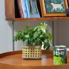 Conjunto de Vasos de Vidro com Rattan Artesanal Transfronteiriço com Flores Secas, Decoração Suave, Conjunto de Vasos de Vidro Hidropônico com Pothos, Decorações Trançadas Retro