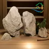 Ornamentos de Pedra de Fibra de Vidro Simulada, Paisagismo de Pedra com Formato Especial para Interior e Exterior, Decoração de Jardim de Quintal, Modelagem de Rochas