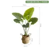 Plantas Artificiais Estilo Nórdico em Estoque para Atacado, Planta Artificial de Taro Torto, Plantas Verdes Falsas para Paisagismo, Plantas em Vasos para Decoração de Piso Interno para Sala de Estar