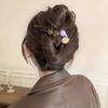 Acessórios de Cabelo de Alta Qualidade para Meninas com Temperamento Elegante, Presilha Torcida de Laço Fofa e de Luxo Leve, Estilo Simples de Desenho Animado para Cabelos Finos, Grampo