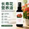 Solución nutritiva especial para Kalanchoe sin diluir fertilizante inductor de floración fertilizante especial para plantas en maceta fertilizante para floración spray foliar