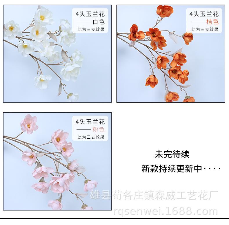 玉兰花_05.jpg