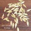 Piezas de Flores de Metal, Hojas de Flores, Bolas Huecas en Forma de Trompeta, Abanicos, Horquillas para el Cabello de Doble Ala, Accesorios para el Cabello de Estilo Antiguo para Bricolaje, Materiales Decorativos