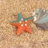 Micro-Paisagem Criativa Gradiente Estrela do Mar Praia Paisagismo DIY Decoração Acessórios Mini Resina Pequenos Enfeites
