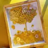 Tiktok Hecho a Mano DIY Árbol de la Fortuna Marco de Fotos Soporte de Exhibición Estilo Celebridad de Internet Moneda de las Ocho Direcciones Árbol de Dinero Regalo de Inauguración