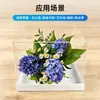 Caja Acrílica Personalizada, Caja de Exhibición Transparente, Caja de Regalo Colección de Arte con Flores Preservadas, Caja de Almacenamiento con Cubierta Antipolvo