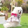 Vestido de Cuadros para Perro Perro Gato Pequeño Mediano Ropa para Mascota Vestido de Boda de Princesa Suministros para Gato Ropa de Dos Patas