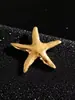 Broche de alfinete super popular de concha, estrela, tartaruga à beira-mar, minimalista e estiloso, acessório versátil para terno