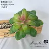 2026 Simulación de Suculentas Mini Adornos Combinación Decoración Exterior para el Hogar Plantas en Maceta Bonsái Suculentas Decoración al por Mayor