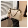 Texped Bolsa Pequeña de Boca para Mujer 2025 Nueva Moda Cadena de Mano Texped Bolsa Cuadrada Pequeña Bolso Cruzado