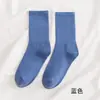 Calcetines para Mujer de Caña Media Otoño e Invierno Color Sólido Algodón Calcetines Ins de Moda Banda Elástica Alta Versátiles Calcetines para Mujer Calcetines Coreanos de Felpa Burbuja