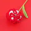 Ramo de Claveles Tejidos a Crochet de Lana Terminados Transfronterizos Flor Artificial Hecha a Mano Flor Tejida Día de la Madre Pequeño