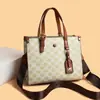 Bolso Tote de Exportación Transfronteriza Nuevo Otoño e Invierno 2025, Gama Alta, Gran Capacidad, Sencillo, Portátil, Bolso Cruzado de un Solo Hombro