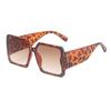 Gafas de Sol de Moda de Marco Grande para Mujer de Rain, Gafas Lisas de Marco Cuadrado Modernas, Gafas de Sol Modernas