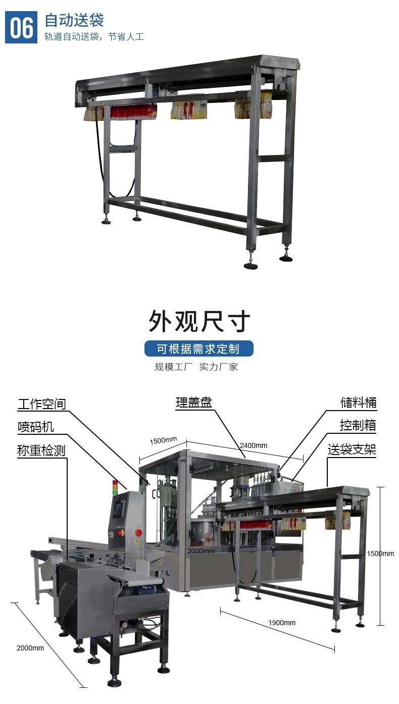 ZLD-5A自立袋灌装机配打码机称重检测05.jpg