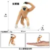Juguete de Modelo Animal Sólido para Niños Simulación Primates Mono Gorila Simio Chimpancé Regalo Cognitivo