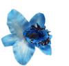 Pasador de Flor de Orquídea Tailandesa Hawaiana Pinza Lateral de Flor para Sesión de Fotos en la Costa Accesorios para el Cabello Bohemianos de Vacaciones para Niñas