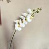 Simulação Phalaenopsis Mobiliário para Casa Decoração Suave Material Decoração de Cena de Auditório de Casamento Flor de Simulação Senso Avançado Flor Falsa Manual