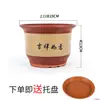 Maceta Grande de Cerámica, Maceta de Arcilla Morada, Maceta de Terracota para Orquídeas, Maceta Extra Grande de Cerámica Gruesa para Uso Doméstico para Clivia, Maceta de Pie para Bonsái