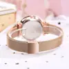 Novo Relógio Estrelado TikTok 2019 Relógio Celebridade da Internet Luminoso Moda Versátil Fivela Magnética Preguiçosa Relógio Feminino