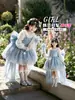 Vestido de menina, vestido de tule, vestido de princesa, vestido infantil Frozen Elsa Lolita, fantasia de apresentação
