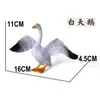 Amazon Transfronterizo Modelo de Animal Pájaro Artificial Águila Pavo Real Loro Búho Avestruz 25 Modelos