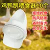 Comedero Automático Espesado para Pollos, una Gran Herramienta para Alimentar Pollos Grandes Cuando Estás Fuera de Casa, Dispensador Automático de Alimento para Pollos, Comedero para Aves de Corral