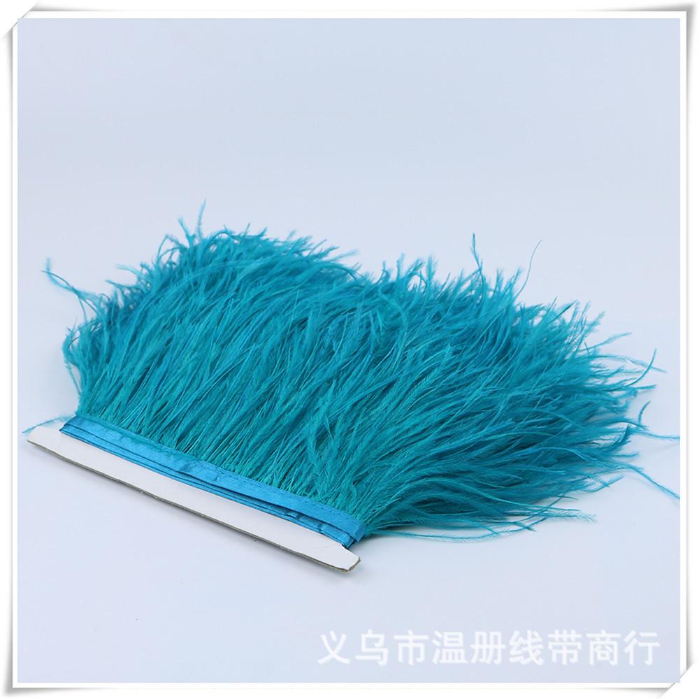 35 blue-green ostrich feather