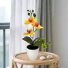 Maceta Redonda Flor Artificial Phalaenopsis Flor Artificial Bonsái Planta Artificial en Maceta Decoración del Hogar Exquisita Flor Artificial Planta Verde Flor Artificial
