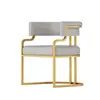 Silla de Maquillaje, Recepción de Salón de Belleza, Sillón Individual, Silla para Salón de Uñas, Silla de Comedor de Lujo Ligero para Mahjong, Otro Metal