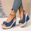 Sandalias de Cuña Peep-Toe de 10 cm para Mujer Talla Grande Europea y Americana Suela Gruesa Sandalias Romanas Comercio Exterior Transfronterizo En Stock