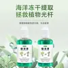 Líquido Revitalizante para Plantas, un Fertilizante de Uso General, Dirigido al Amarillamiento y la Caída de Hojas en Plantas Desnudas, Mejora Rápidamente la Hormona de Crecimiento, Distribución al por Mayor