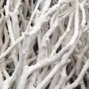 Ramas secas tenedores de madera original ramas muertas ramas secas madera muerta tronco de árbol forma de percha para pájaros colgante de pared perchero rama de techo decoración adorno
