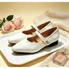 Zapatos Mary Jane retro franceses, punta cuadrada, apertura poco profunda, diseño de una sola tira, tacón bajo, simples y versátiles para ir al trabajo, con un estilo suave y elegante, zapatos de mujer