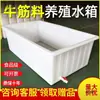 Caja de Cría de Peces Rectangular Grande Caja de Cría Engrosada de Tendón de Vaca Drenaje Almacenamiento de Agua Tanque de Agua de Plástico Azulejo para Tortugas con Leidezhu