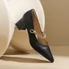 Sapatos Mary Jane Versáteis com Salto Alto Bloco Bico Fino 2026 Tira Única Estilo Suave Novo Primavera Outono Trabalho Francês