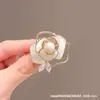 Recém-Lançados Broches Criativos de Luxo Leve Atacado Acessórios de Corsage de Insetos de Ponta Broches de Flores de Cristal Vegetal Sazonais