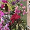 Novos fabricantes de plantas verdes de simulação sentem folha de magnólia decoração de casamento de jardim macio folha verde fabricantes de flores falsas atacado
